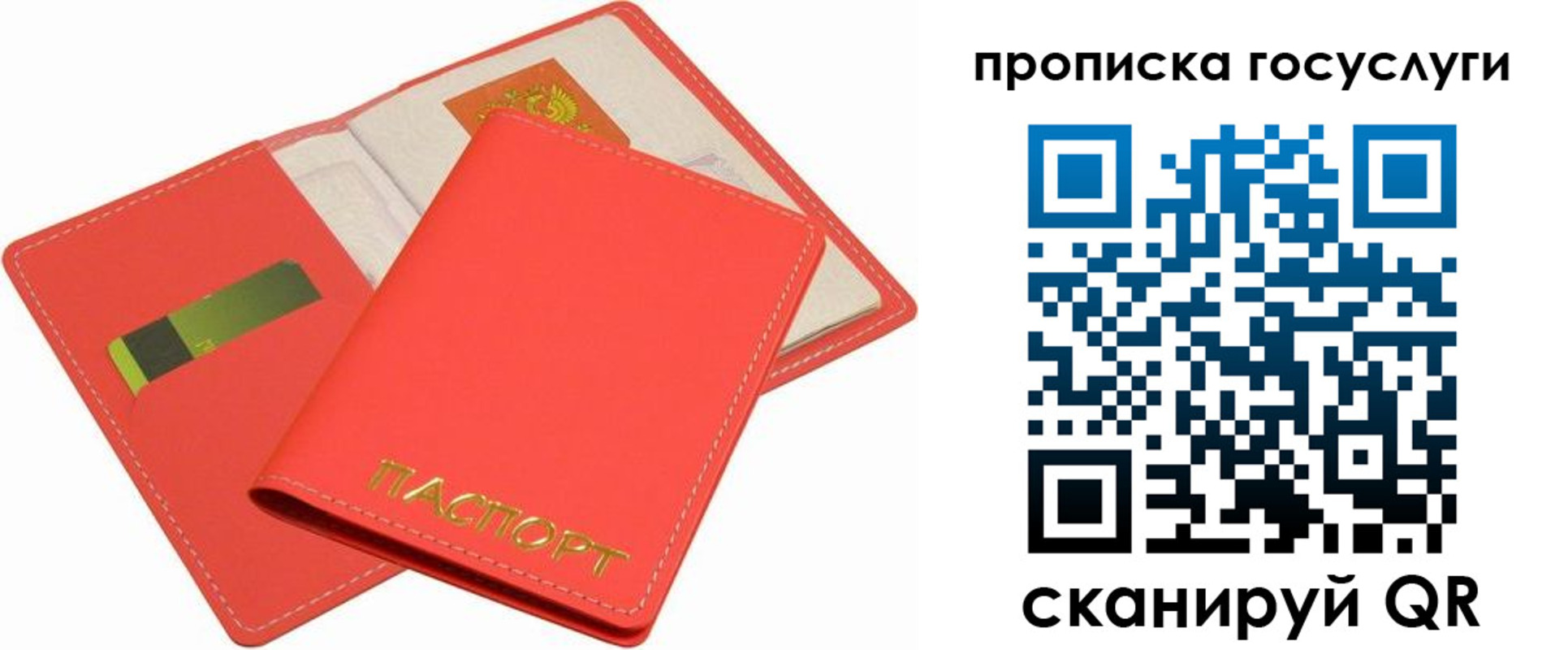 прописка иностранных граждан в Кандалакше